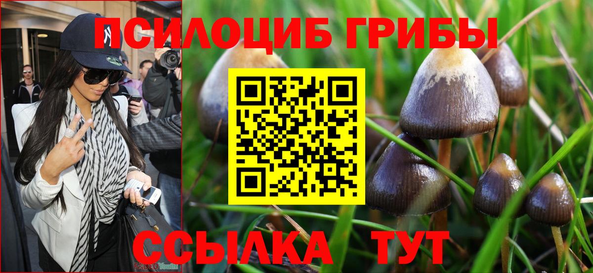 Севастополь  Галлюциногенные грибы Cubensis  Вход с VPN 