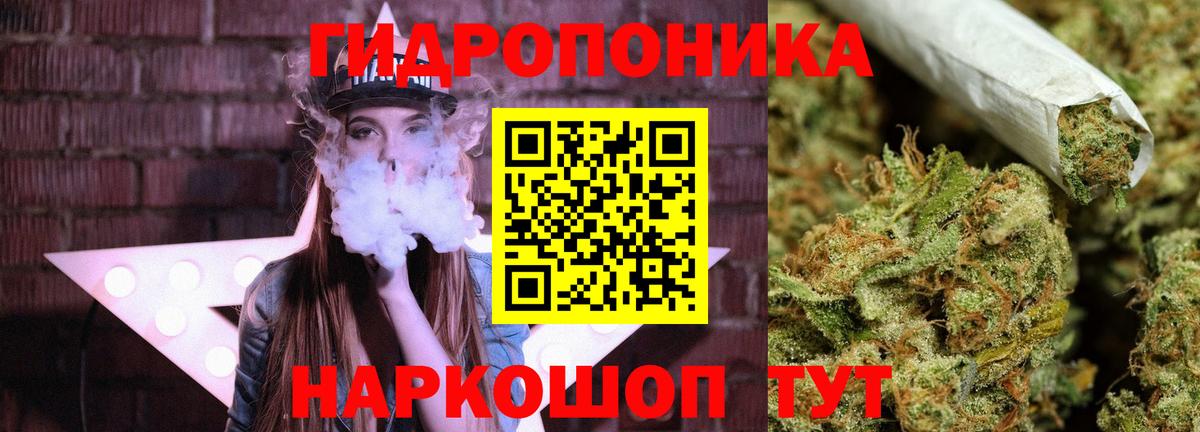 Бошки Шишки план  Шишки марихуана планчик  Севастополь  Вход с VPN  Канабис SATIVA & INDICA 